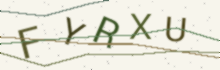 A picture of letters to type (it keeps out spam)