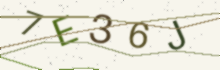 A picture of letters to type (it keeps out spam)