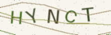 A picture of letters to type (it keeps out spam)