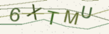 A picture of letters to type (it keeps out spam)