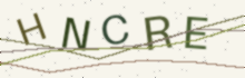 A picture of letters to type (it keeps out spam)