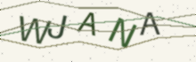A picture of letters to type (it keeps out spam)