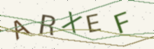 A picture of letters to type (it keeps out spam)