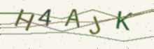 A picture of letters to type (it keeps out spam)