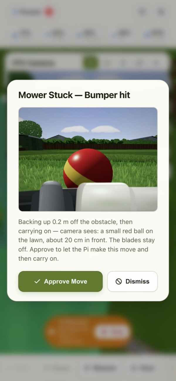 Step 3: Bump, stop, look