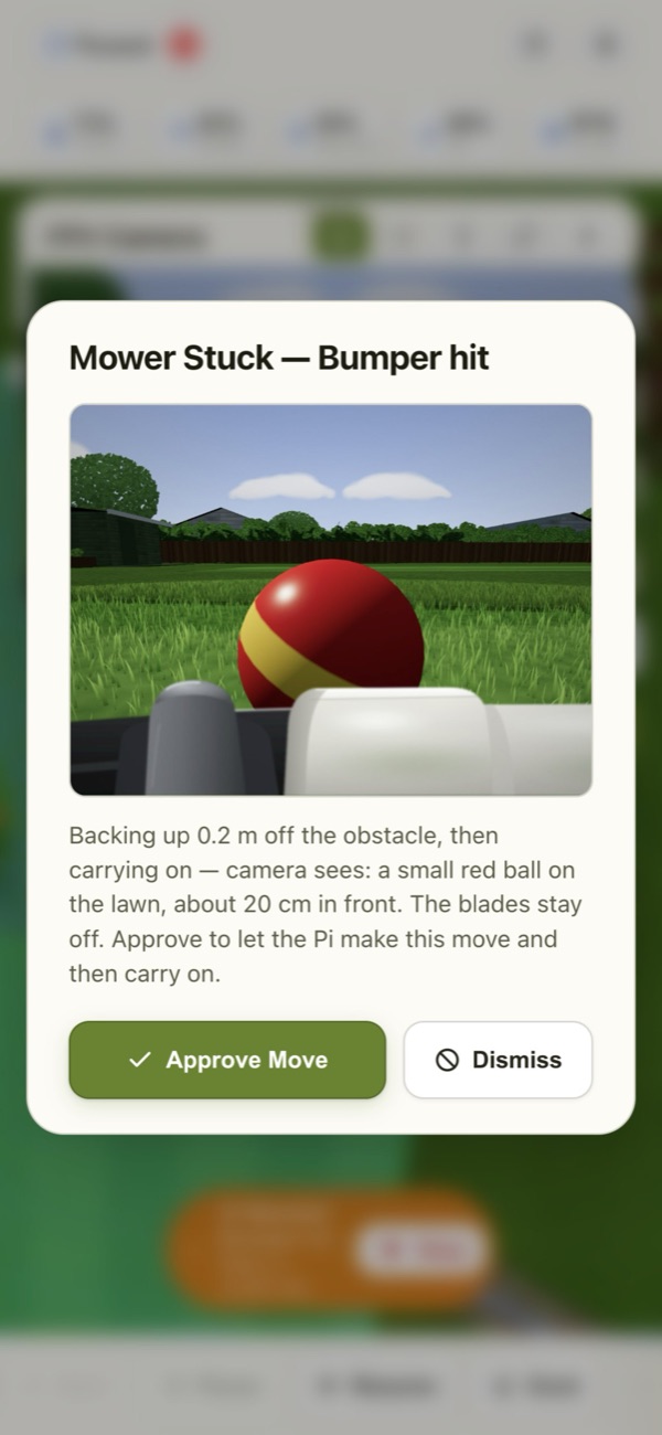 Step 4: It asks you